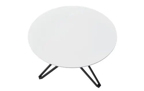 Обеденный стол круглый 110 см белый ESF | ESF-DT-62white/black(d110)_2