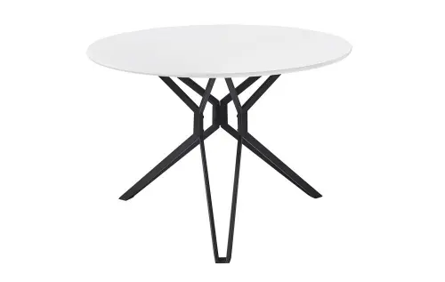 Обеденный стол круглый 110 см белый ESF | ESF-DT-62white/black(d110)